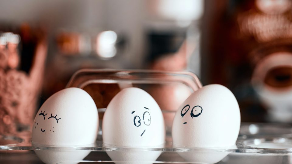 Huevos SLM blog unsplash
