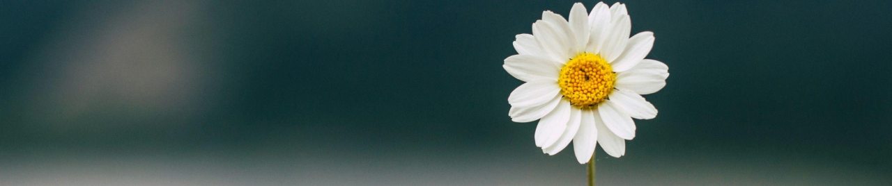 Blog hablarconnativ