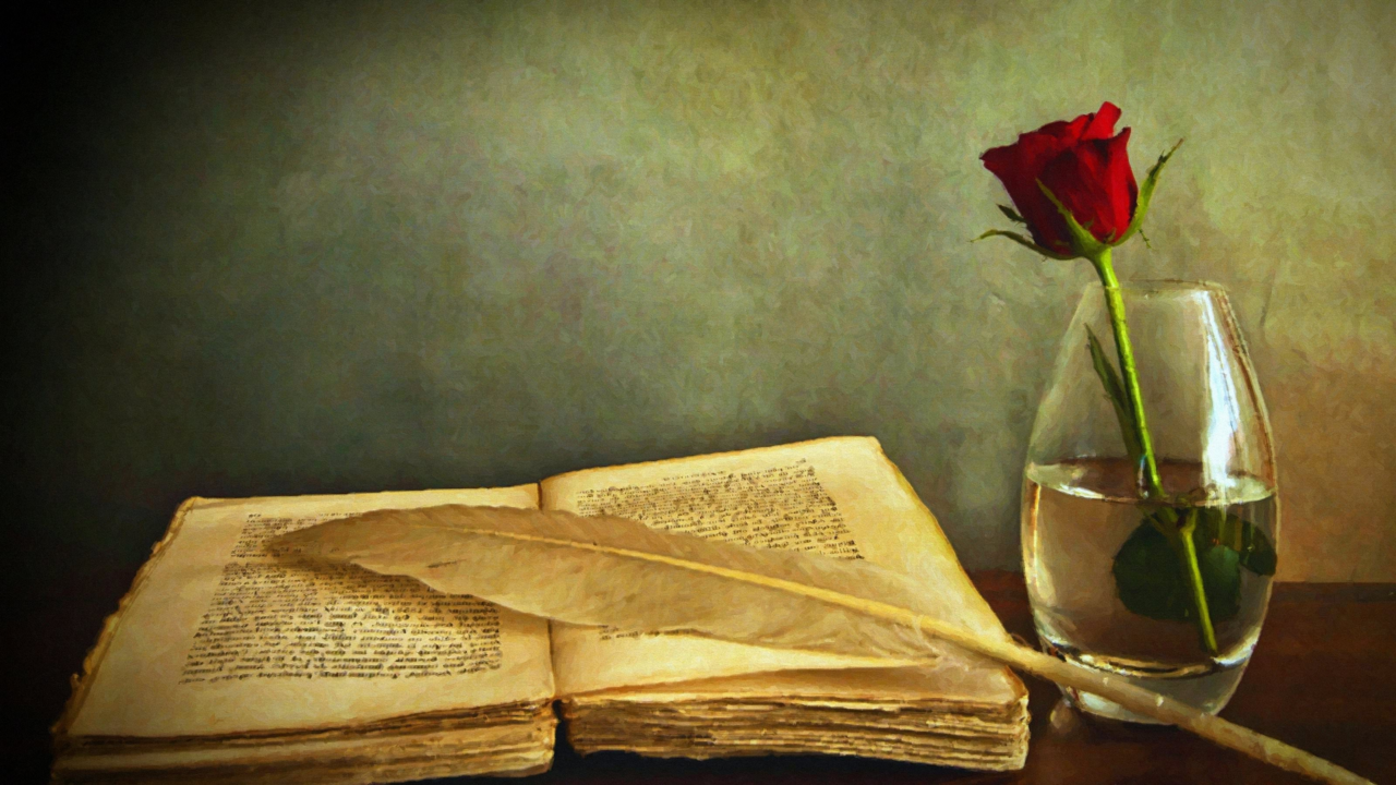 Libro y rosa