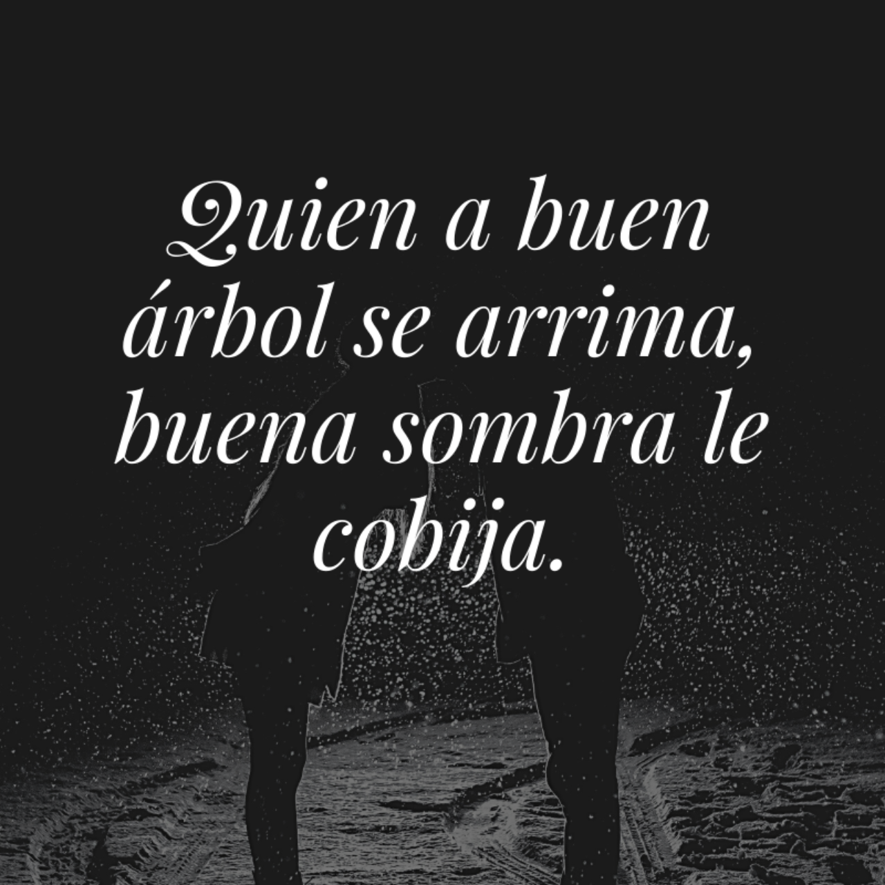 Quuien a buen