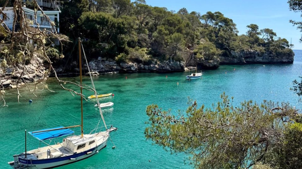 Immersion Spanish Lessons Mallorca-Summer Programme
