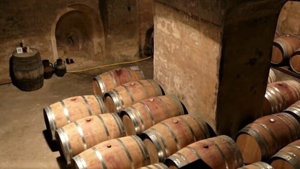 Bodegas mallorca 2