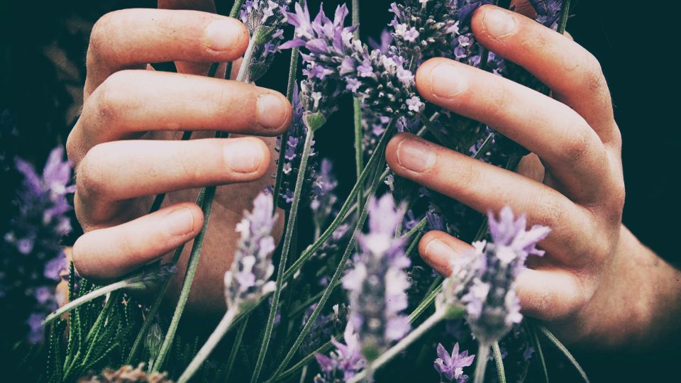 Veromanr-meditationSLM-unsplash