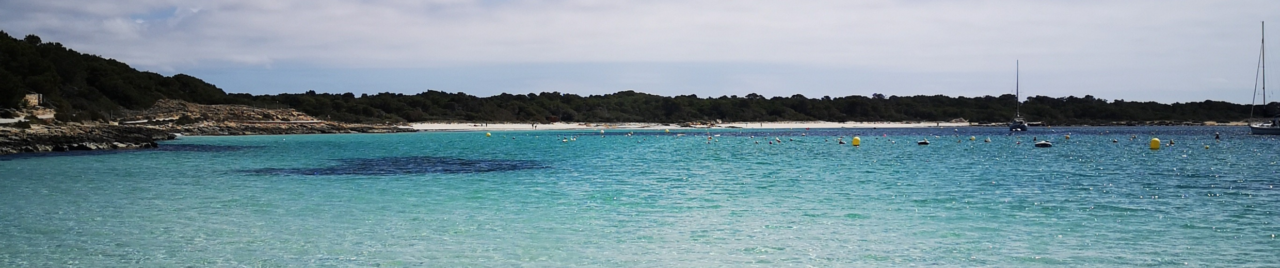 Spanish Holiday Immersion language-SLM
